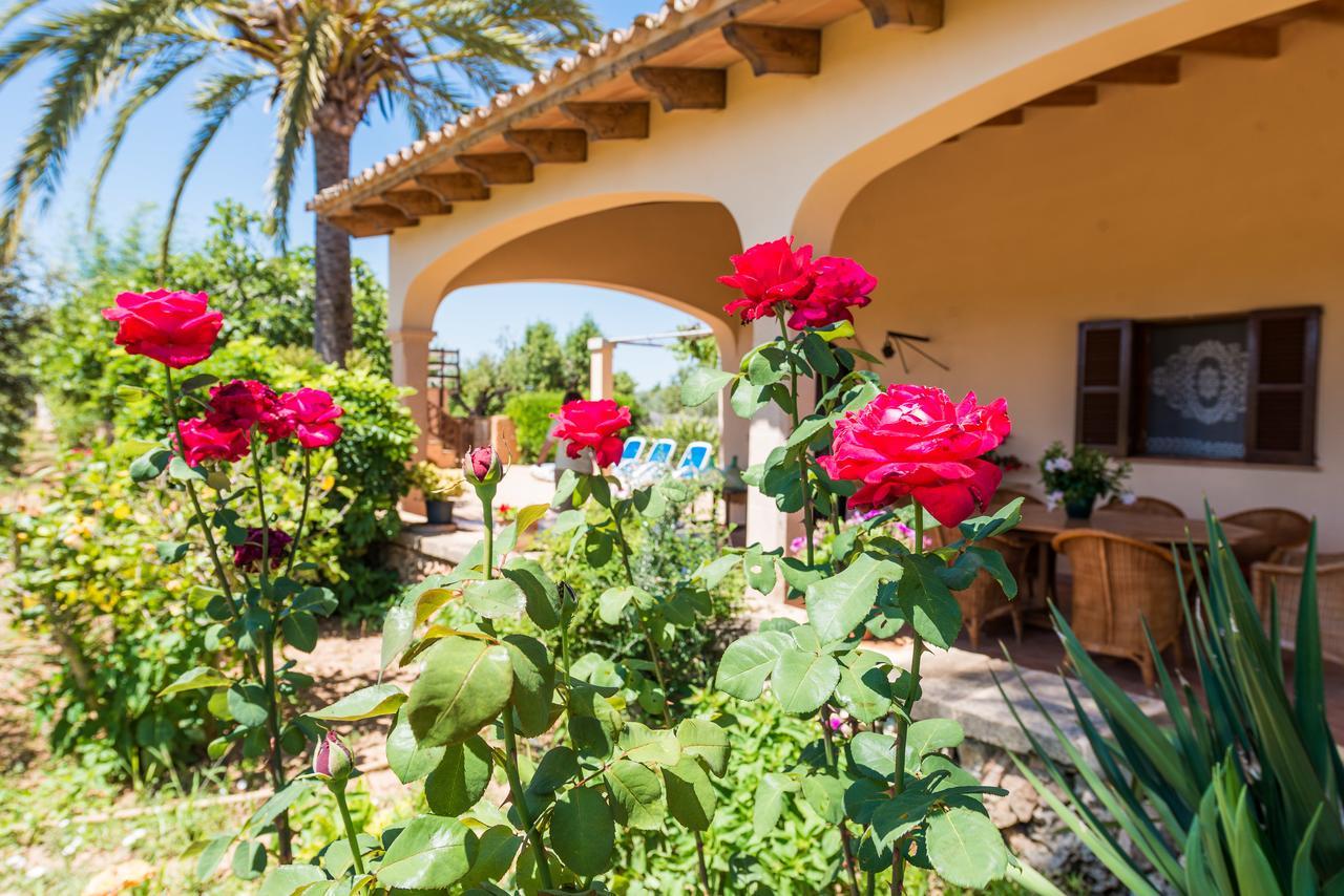 Clau De Sol Vila Can Picafort  Exterior foto